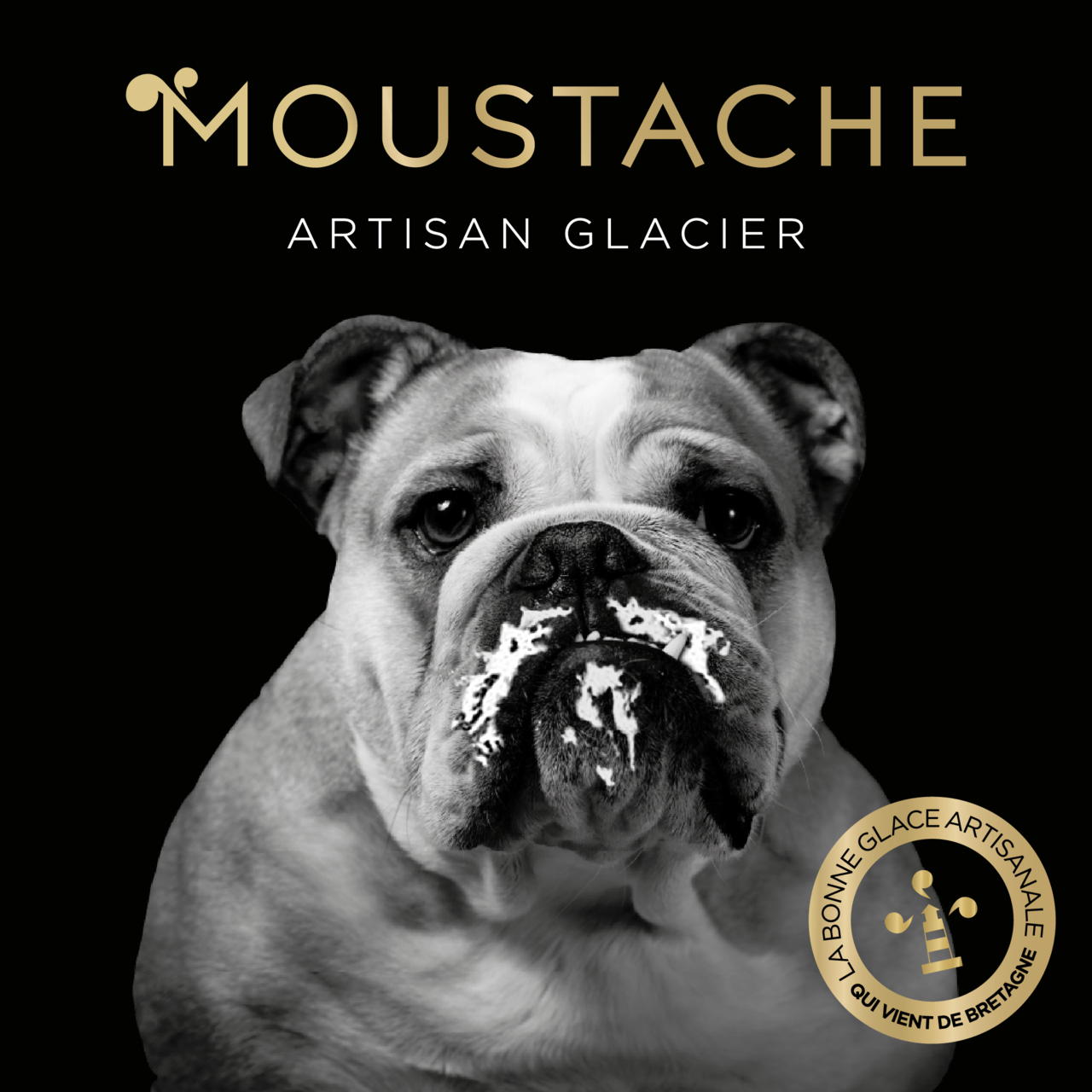 Logo Glaces Moustache