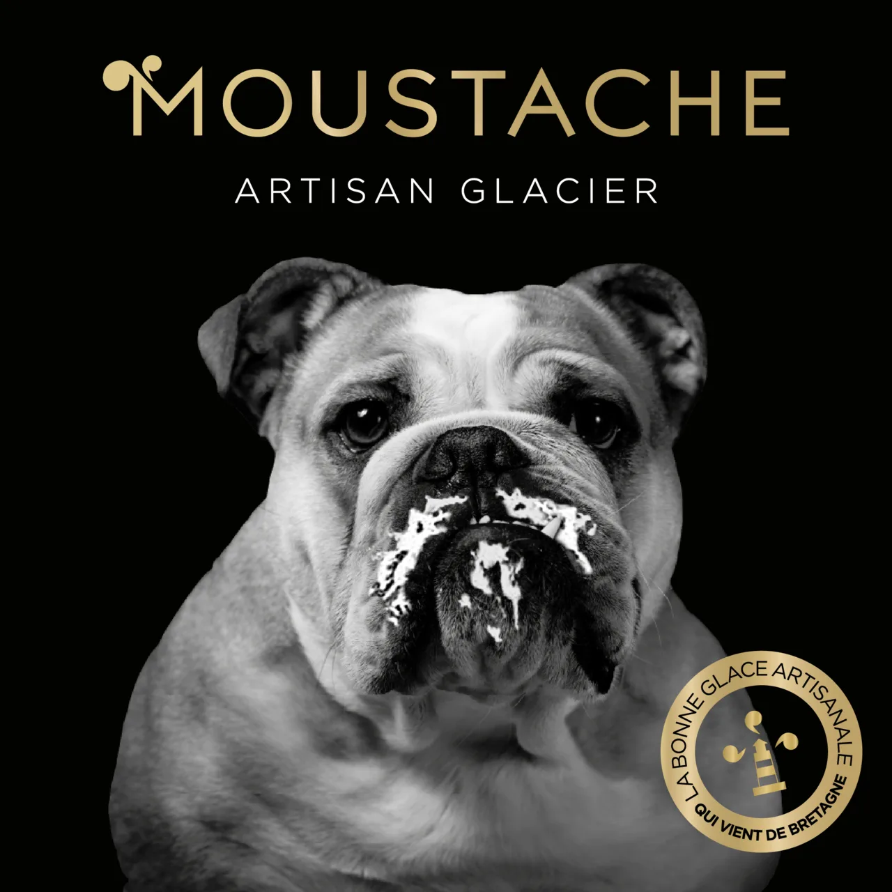 à propos 54 Logo Moustache, artisan glacier